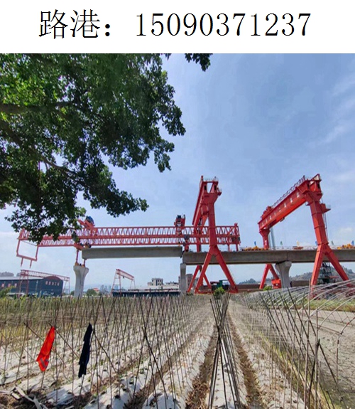1237路港龍門(mén)吊(18)